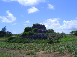 火番岡と伝えられるビッチュムリ