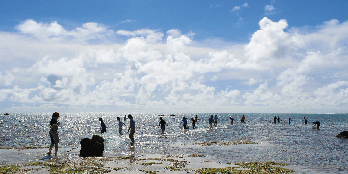 top-natuhana2022-7 2